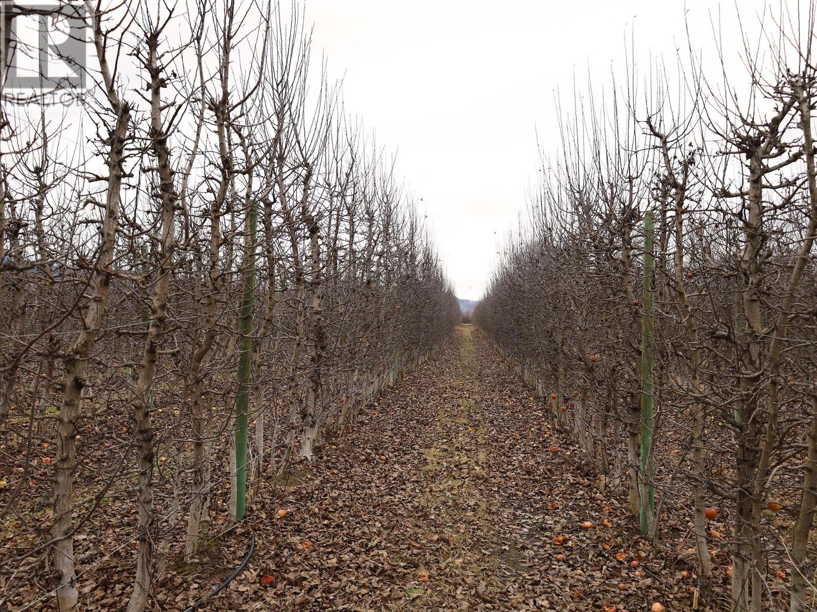 301 Road 12 Road, Oliver, British Columbia  V0H 1T1 - Photo 25 - 10373242