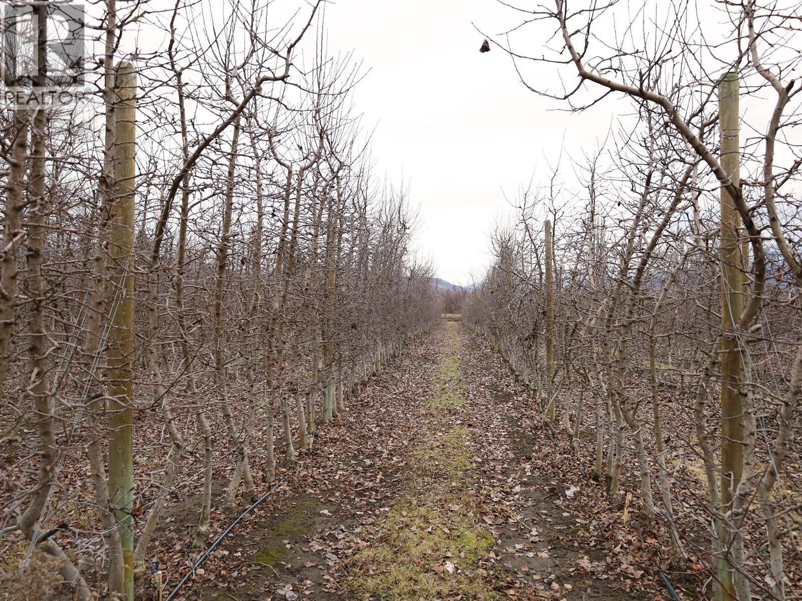 301 Road 12 Road, Oliver, British Columbia  V0H 1T1 - Photo 29 - 10373242