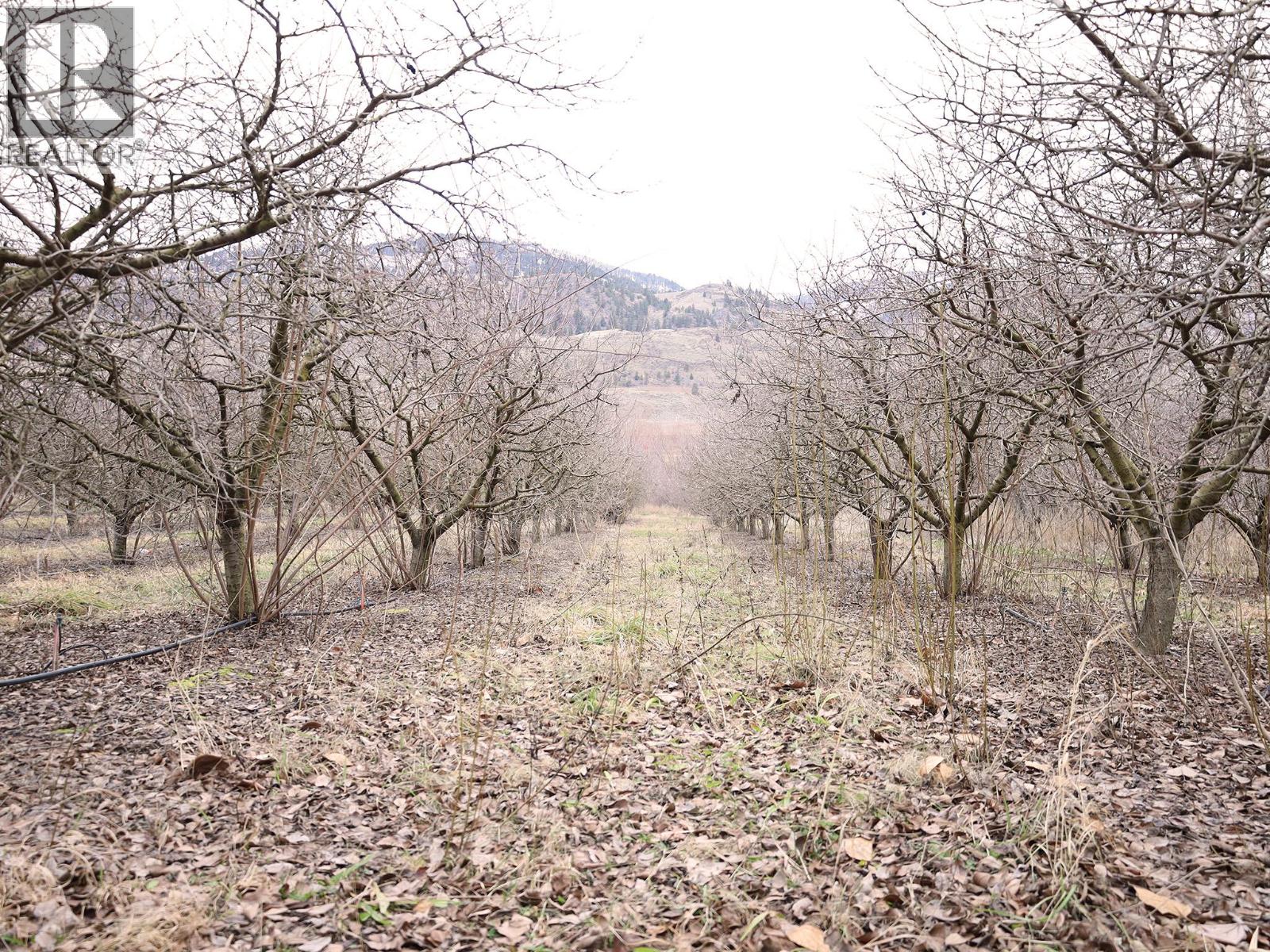 301 Road 12 Road, Oliver, British Columbia  V0H 1T1 - Photo 23 - 10373242