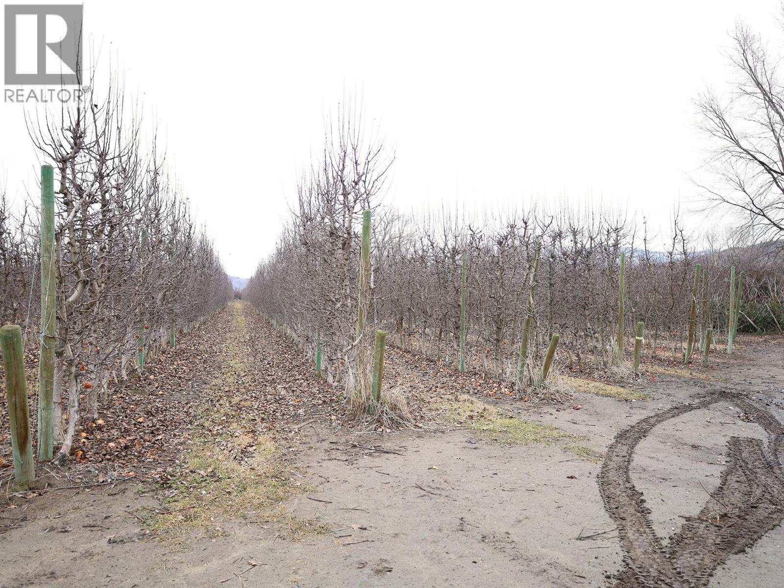 301 Road 12 Road, Oliver, British Columbia  V0H 1T1 - Photo 26 - 10373242