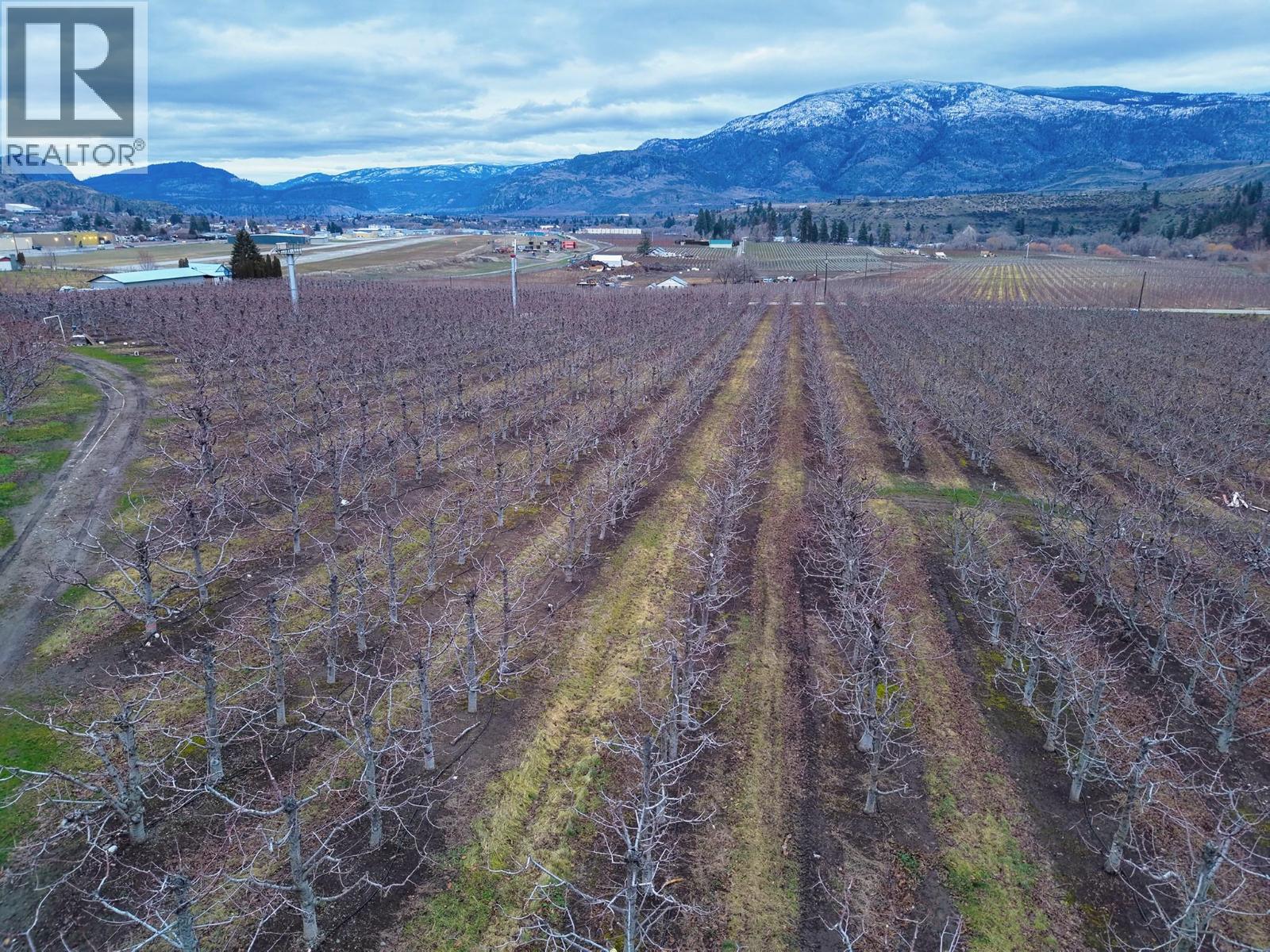 5676 Yarrow St Street, Oliver, British Columbia  V0H 1T9 - Photo 7 - 10373260