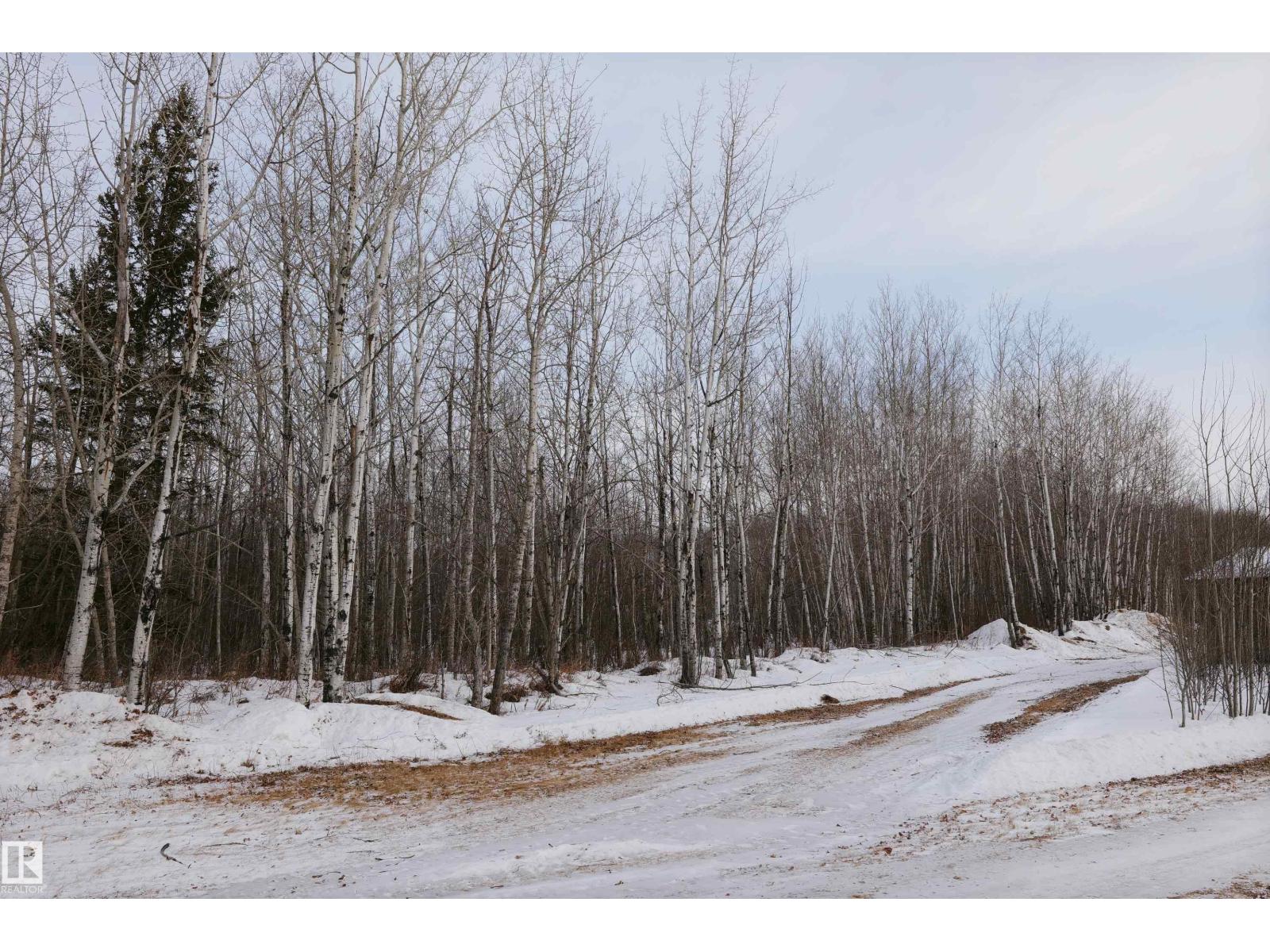 59317 Rge Rd 51, Rural Barrhead County, Alberta  T7N 1N3 - Photo 47 - E4472123