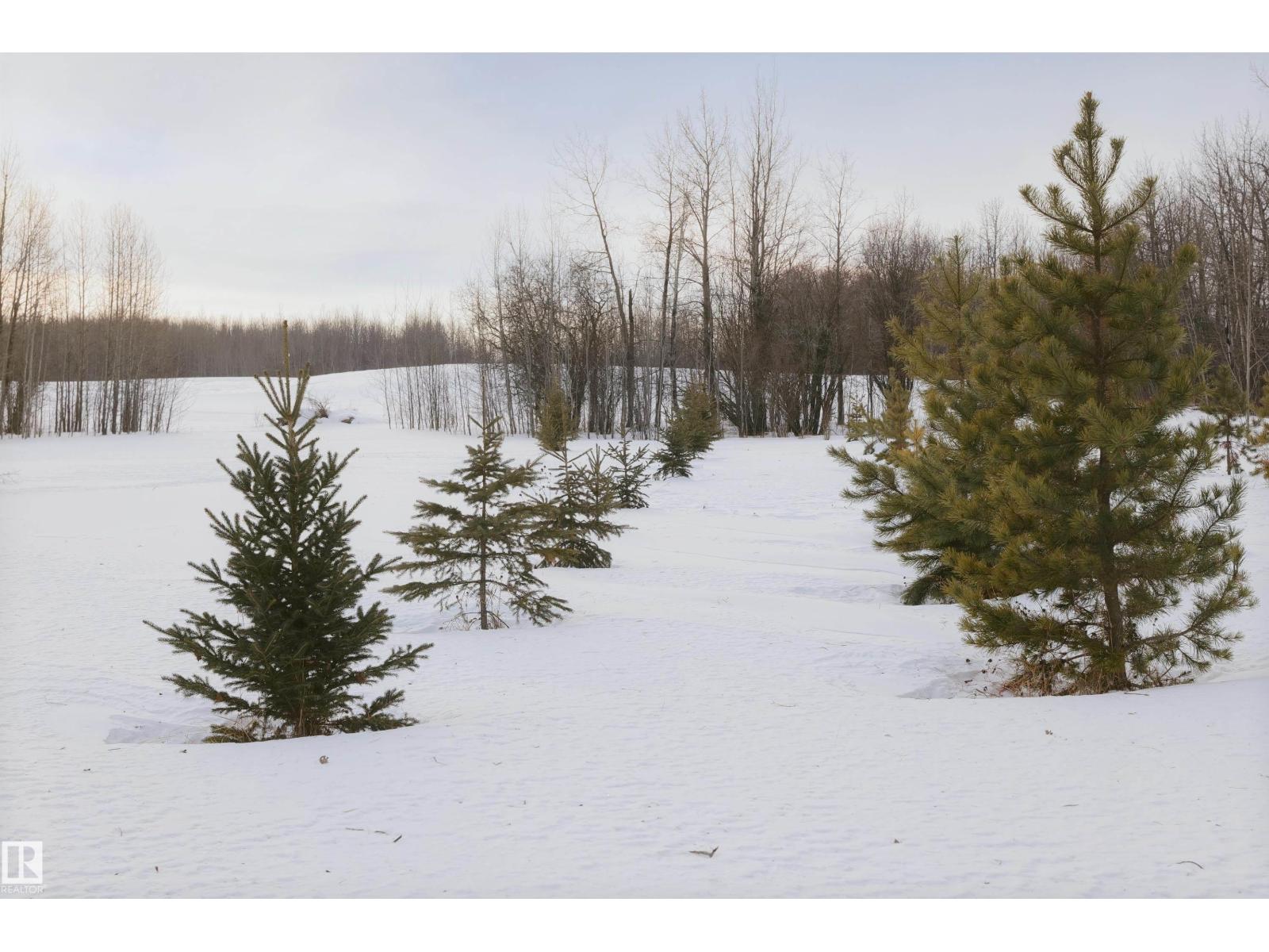 59317 Rge Rd 51, Rural Barrhead County, Alberta  T7N 1N3 - Photo 46 - E4472123