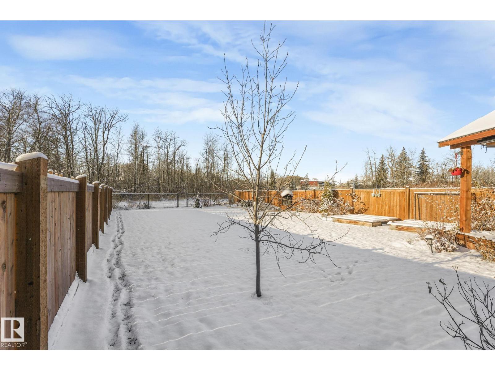 2732 204 St Nw, Edmonton, Alberta  T6M 0W4 - Photo 56 - E4467058