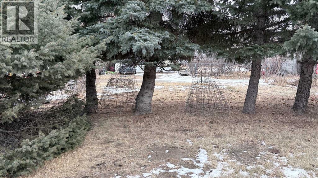 105 4th Street W, Foremost, Alberta  T0K 0X0 - Photo 28 - A2282972