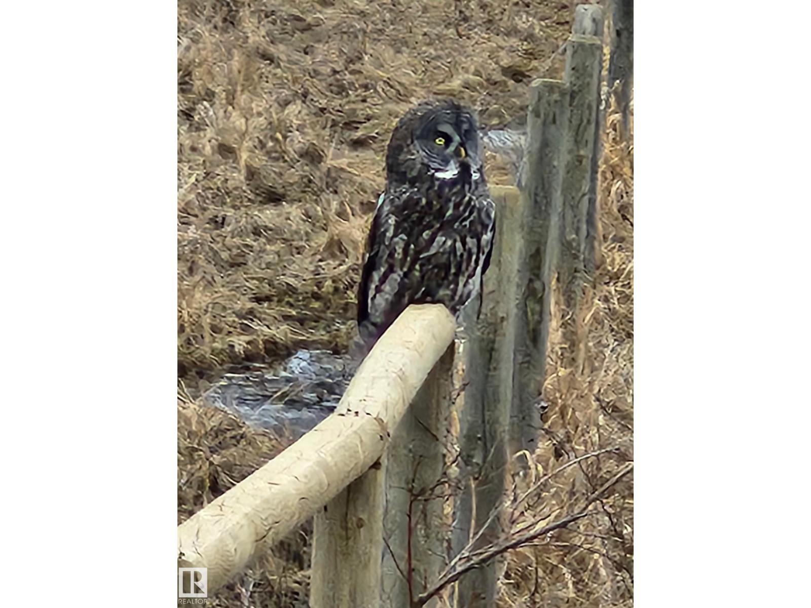 58513 Range Road 231, Rural Thorhild County, Alberta  T0A 3J0 - Photo 49 - E4472135