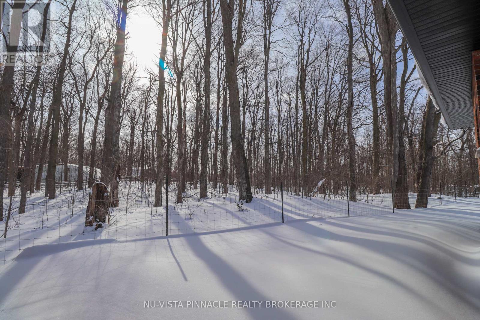 7142 Highway 7, Halton Hills, Ontario  L7J 2L9 - Photo 7 - W12756398