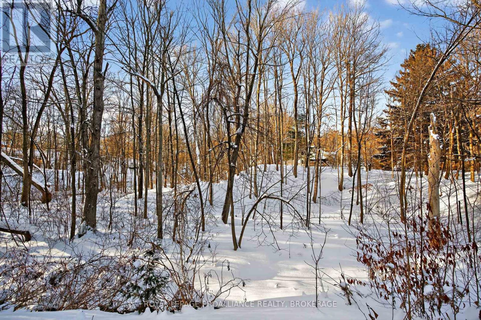 3961 Waterfall Lane, Frontenac (Frontenac South), Ontario  K0H 1W0 - Photo 46 - X12756482