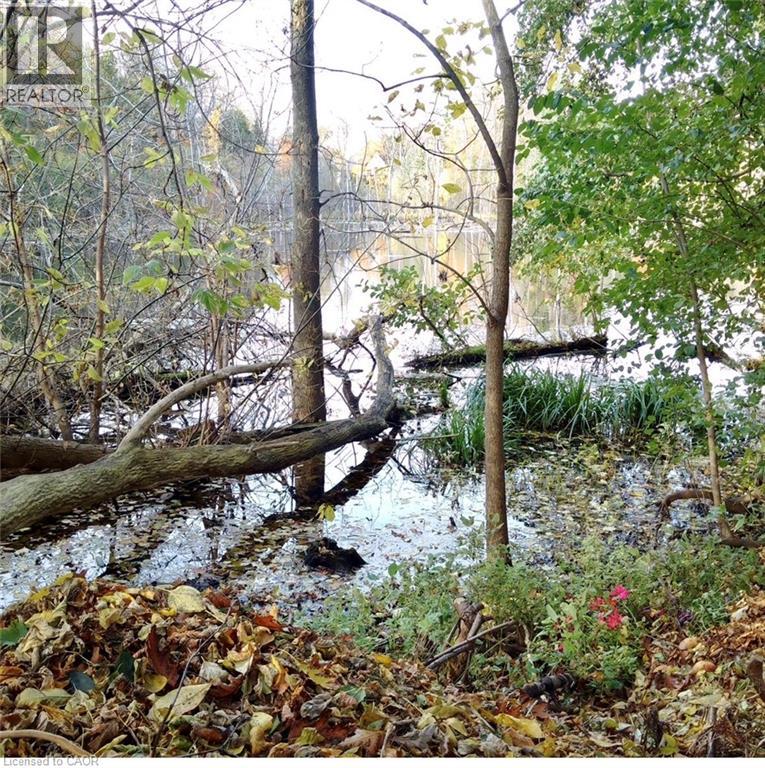 33 Manitoulin Crescent, Kitchener, Ontario  N2A 3J4 - Photo 42 - 40802155