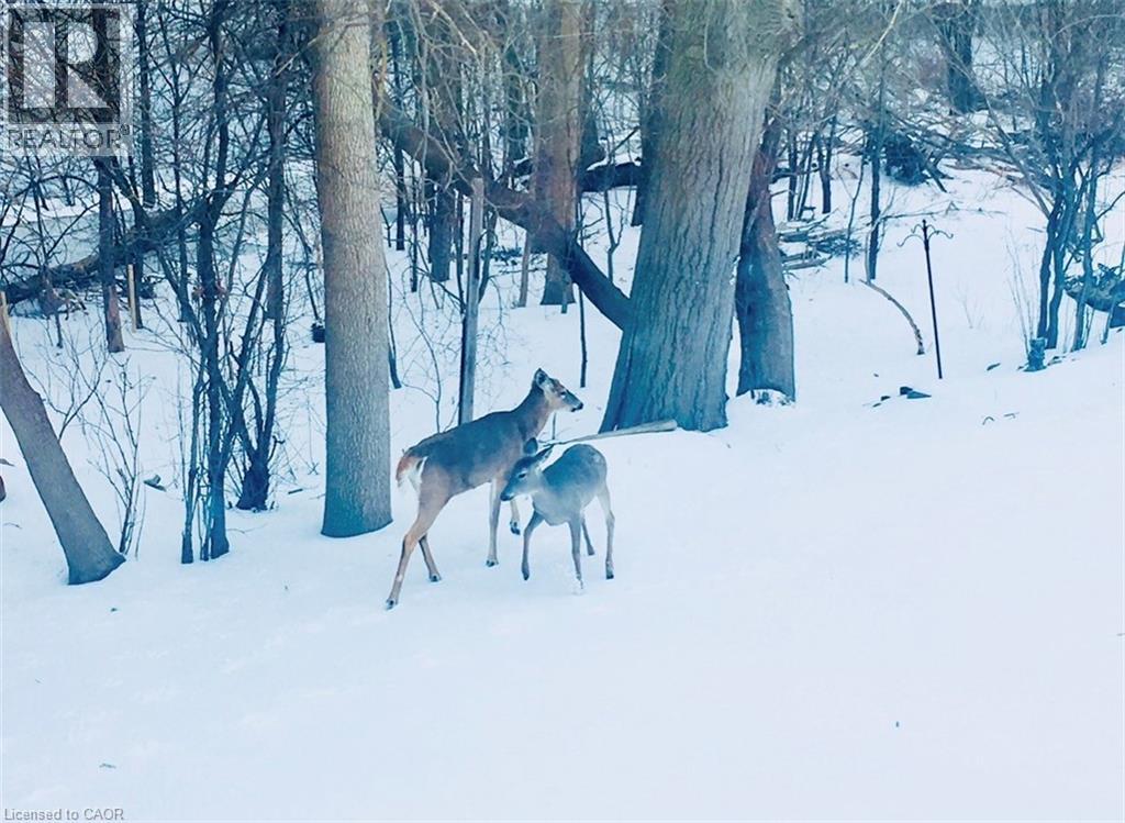 33 Manitoulin Crescent, Kitchener, Ontario  N2A 3J4 - Photo 43 - 40802155