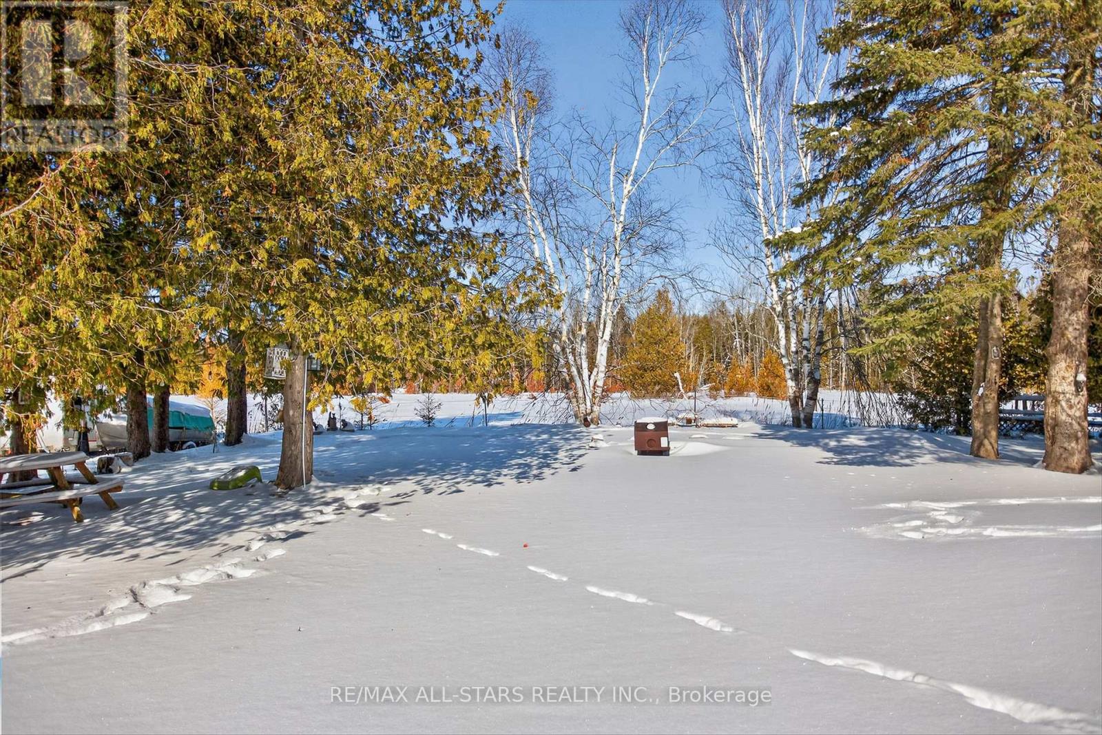 220 Mcguire Beach Road, Kawartha Lakes, Ontario  K0M 2B0 - Photo 36 - X12756516