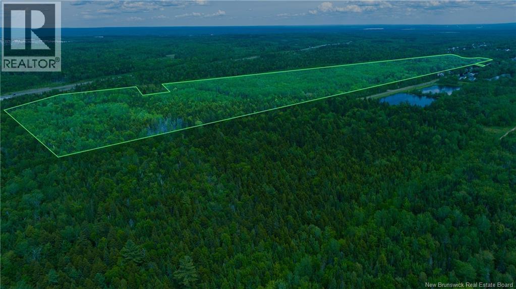 / Gravenstein Street, New Maryland, New Brunswick  E3C 1B4 - Photo 5 - NB133145