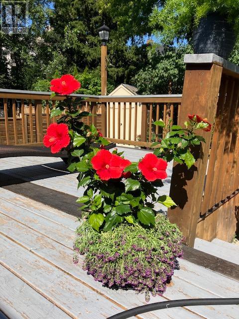 15 Cosmo Road, Toronto, Ontario  M8X 1Z3 - Photo 42 - W12756572