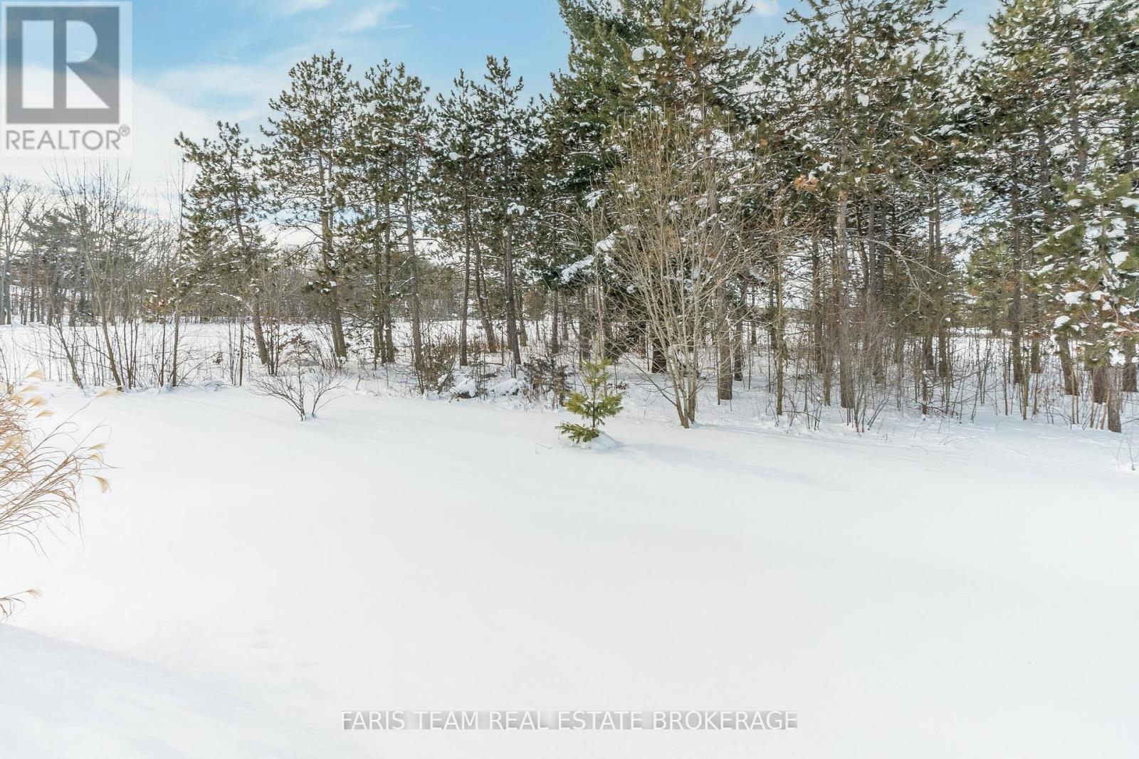 28 Masters Crescent, Georgian Bay (Baxter), Ontario  L0K 1S0 - Photo 36 - X12756556