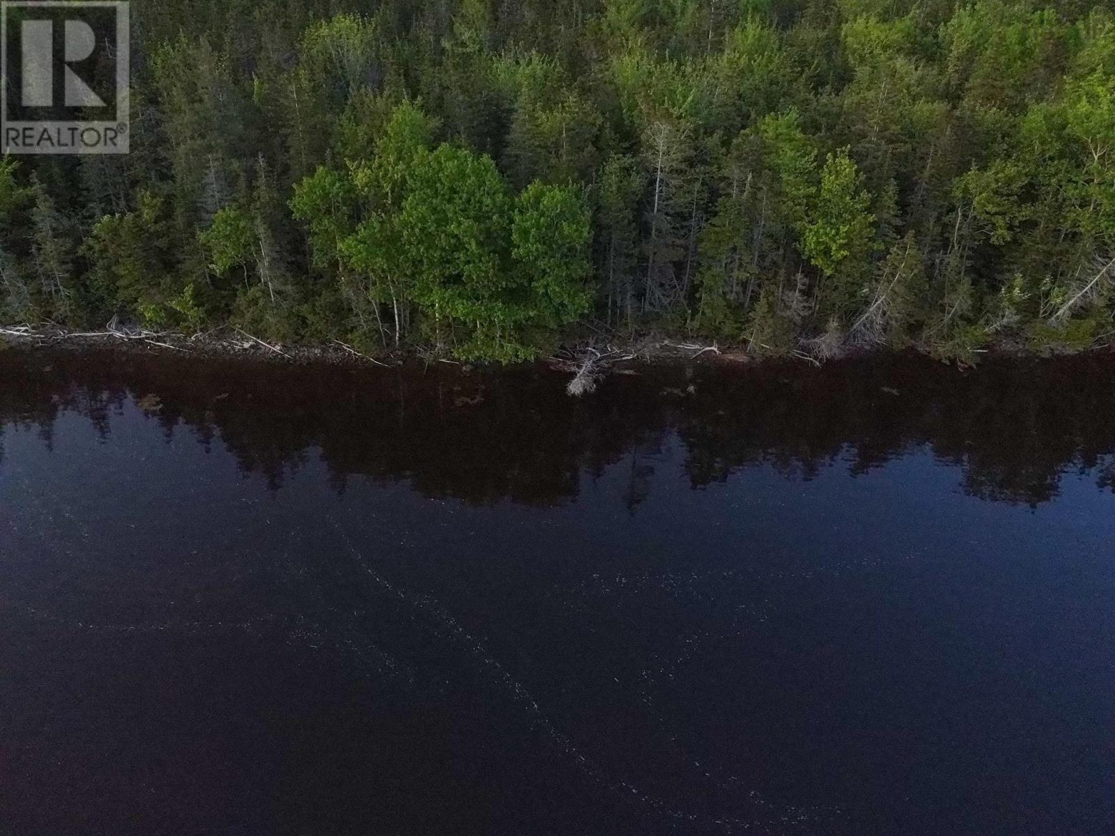 Macleod Road, Evanston, Nova Scotia  B0E 1J0 - Photo 9 - 202602081