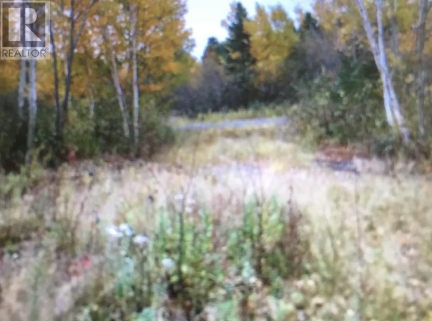 260a Main Street, Embree, Newfoundland & Labrador  A0G 2B0 - Photo 2 - 1294224