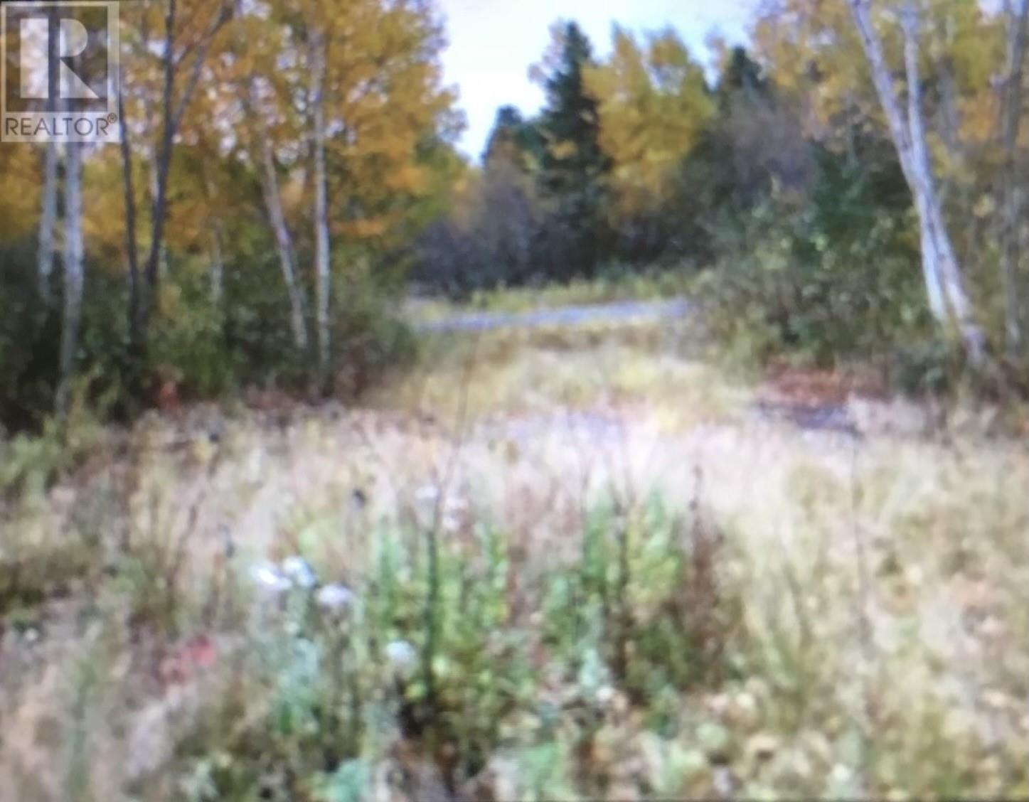 260a Main Street, Embree, Newfoundland & Labrador  A0G 2B0 - Photo 3 - 1294224