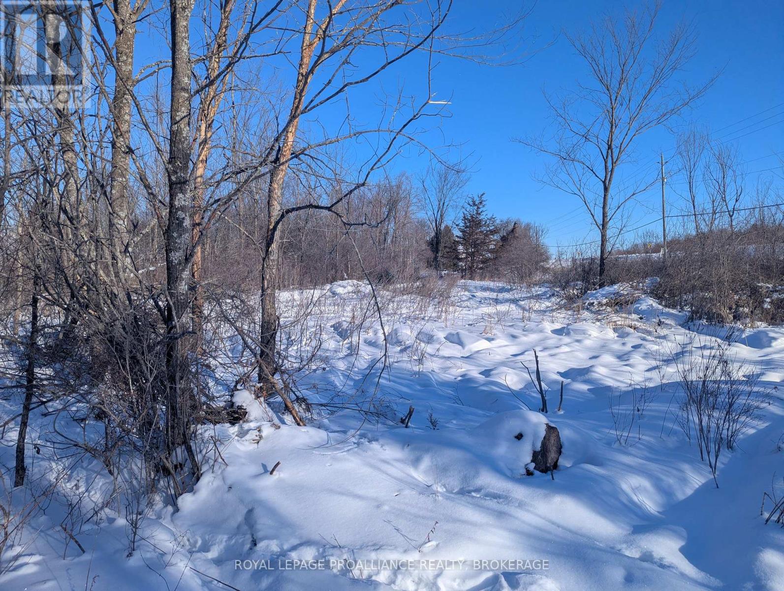 Lot 34 Leo Lake Road, Kingston, Ontario  K0H 2N0 - Photo 26 - X12752286