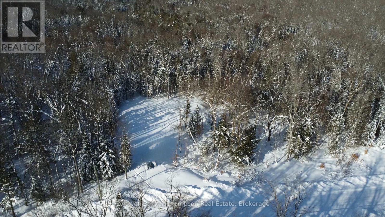 78 Granite Drive, Huntsville, Ontario  P1H 2N5 - Photo 4 - X12755378