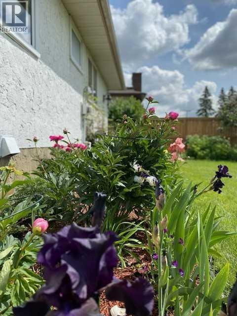 6311 Pineridge Road Ne, Calgary, Alberta  T1Y 1M4 - Photo 7 - A2283199