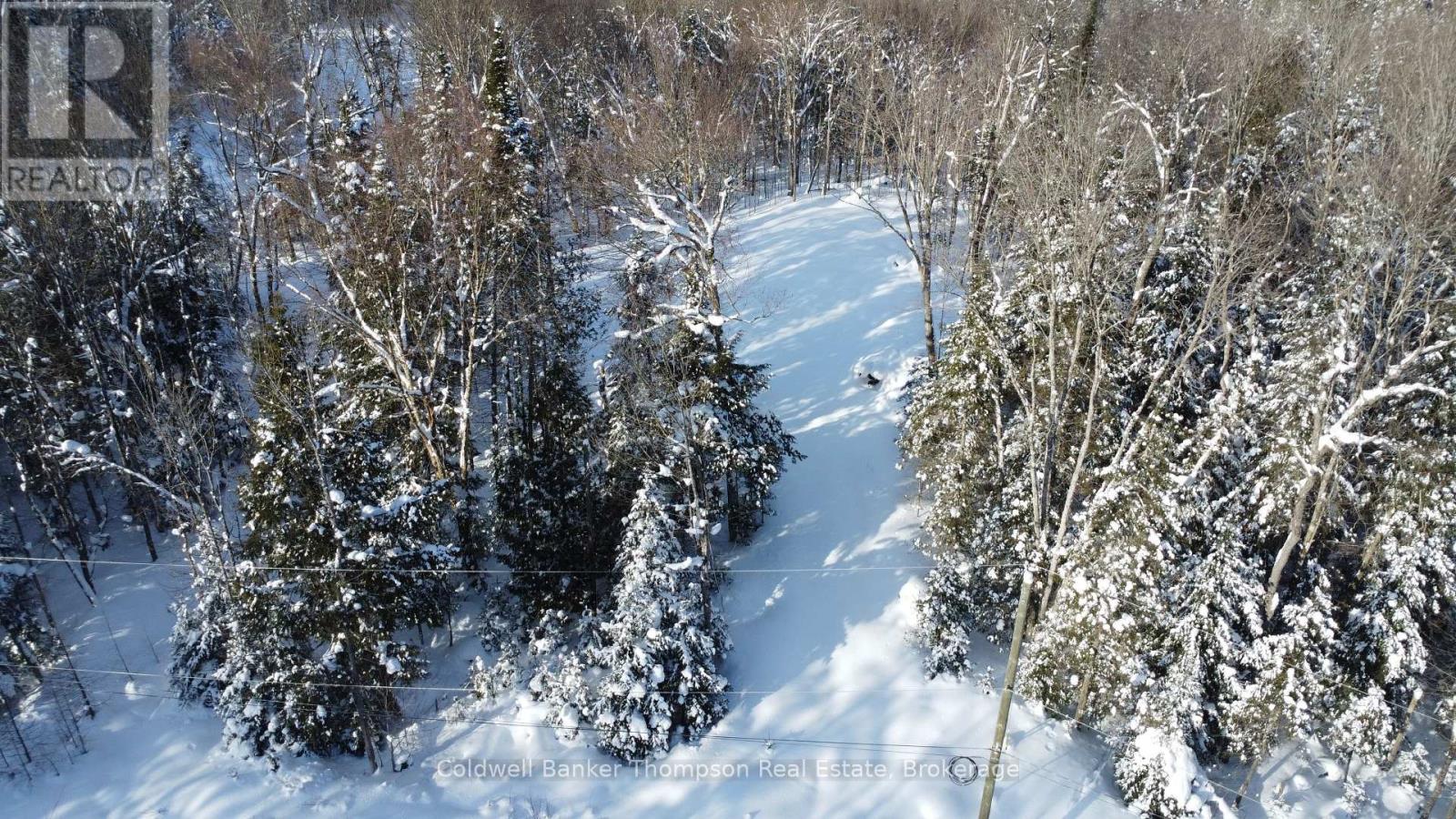 2 Foxwood Court, Huntsville, Ontario  P1H 2N5 - Photo 2 - X12755384