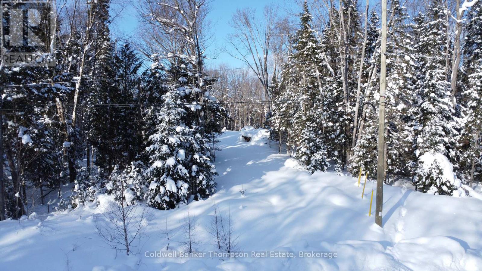 2 Foxwood Court, Huntsville, Ontario  P1H 2N5 - Photo 4 - X12755384