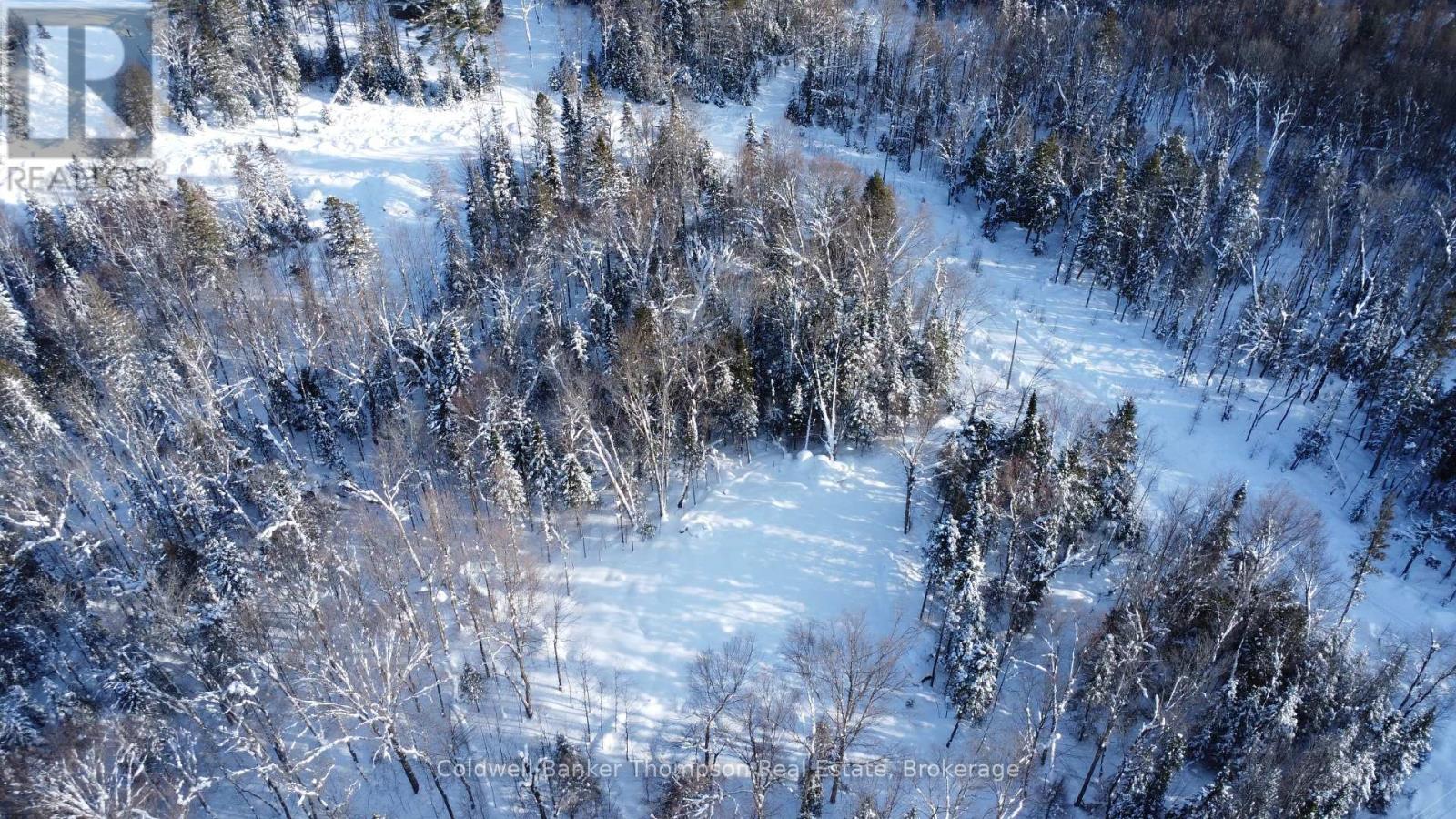 2 Foxwood Court, Huntsville, Ontario  P1H 2N5 - Photo 5 - X12755384