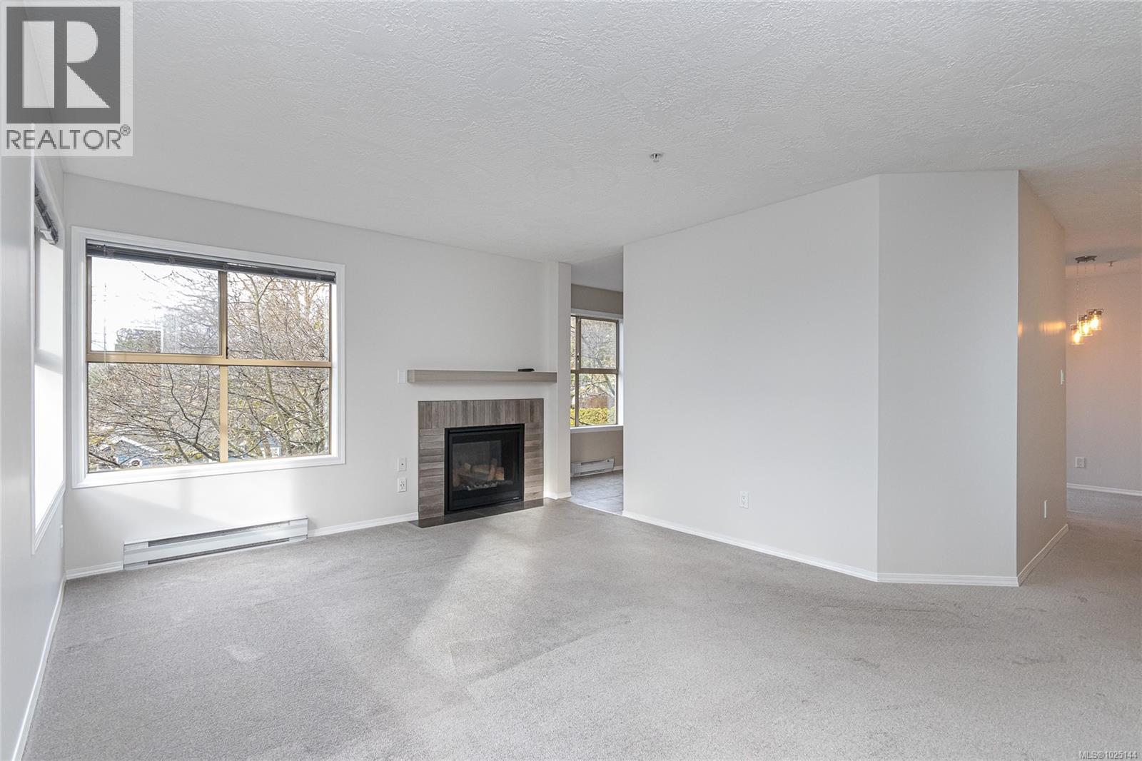 201 3363 Glasgow Ave, Saanich, British Columbia  V8X 1M5 - Photo 6 - 1025144