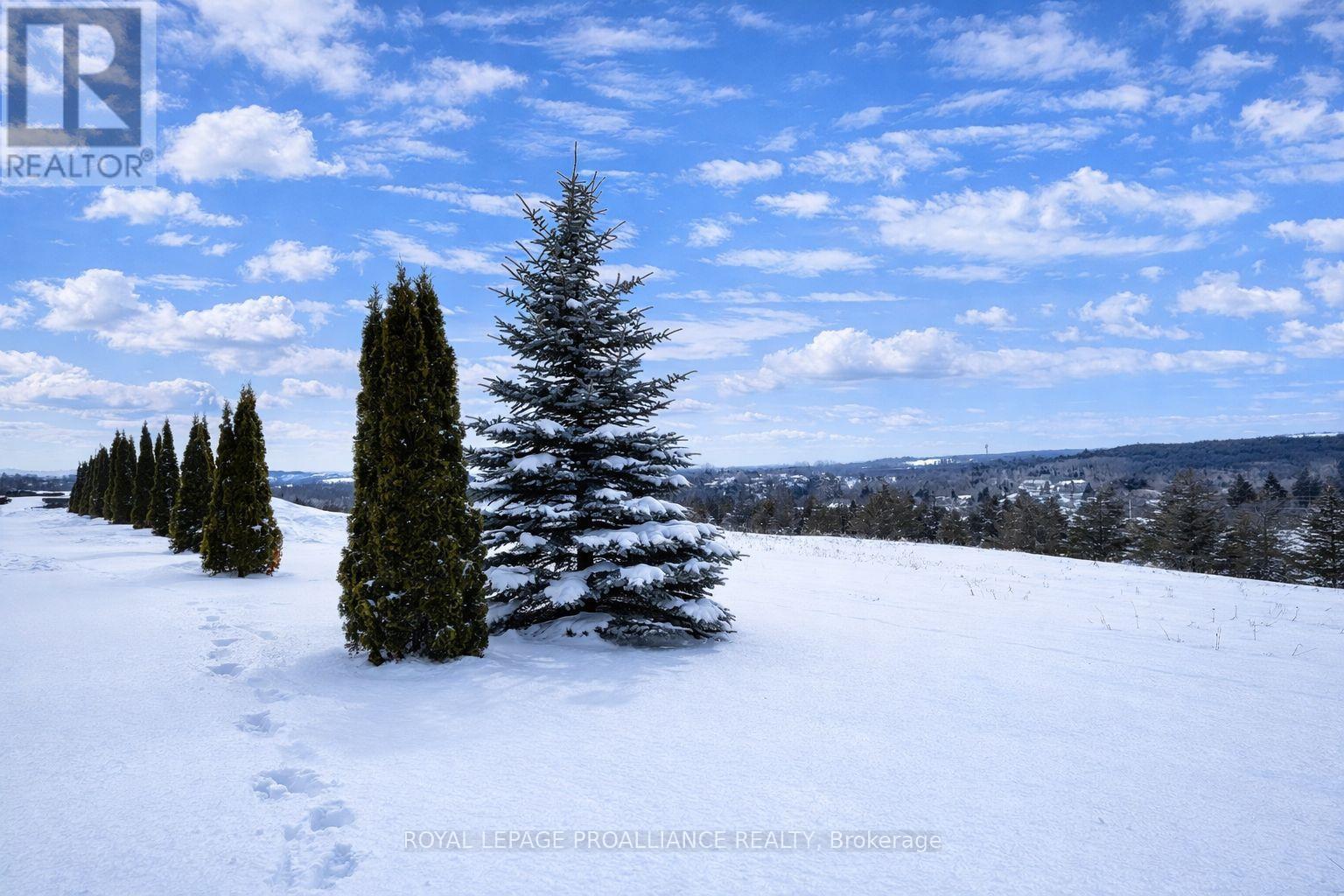 4836 45 Highway, Hamilton Township (Baltimore), Ontario  K7G 2V6 - Photo 3 - X12750010