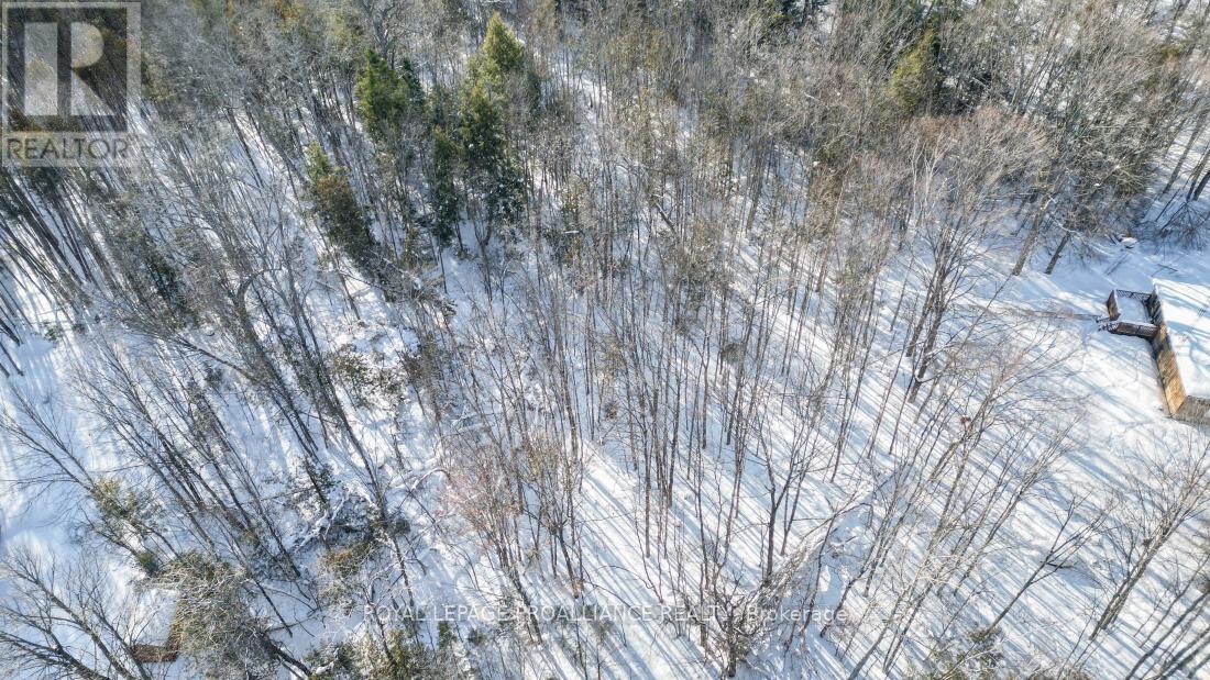 0 Swinburne Lane, Stirling-Rawdon (Rawdon Ward), Ontario  K0K 2M0 - Photo 6 - X12754866