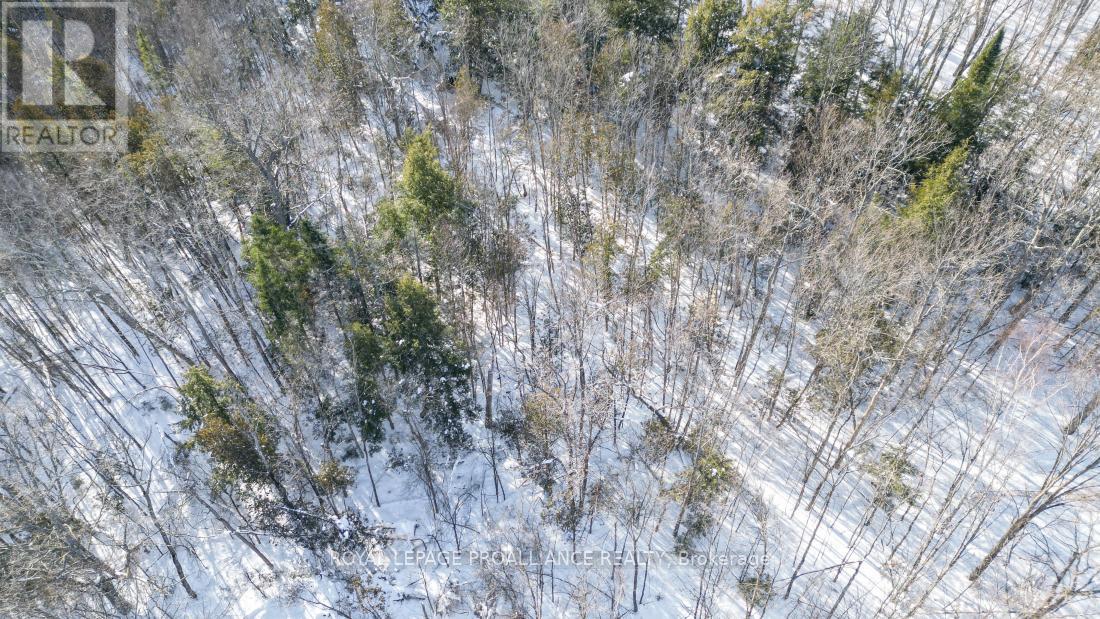 0 Swinburne Lane, Stirling-Rawdon (Rawdon Ward), Ontario  K0K 2M0 - Photo 7 - X12754866