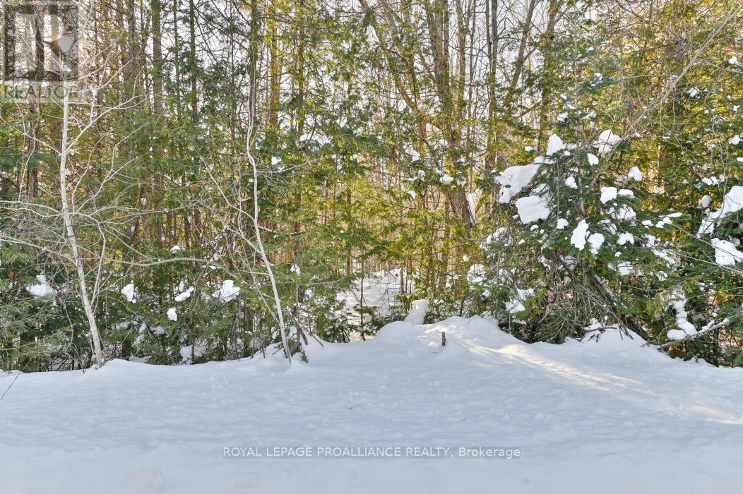 0 Swinburne Lane, Stirling-Rawdon (Rawdon Ward), Ontario  K0K 2M0 - Photo 2 - X12754866