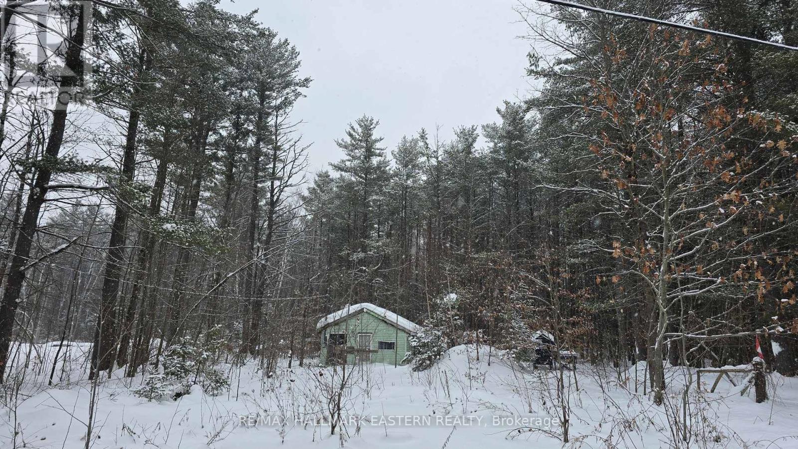 120 Cole Road, Havelock-Belmont-Methuen (Belmont-Methuen), Ontario  K0L 1Z0 - Photo 1 - X12755044