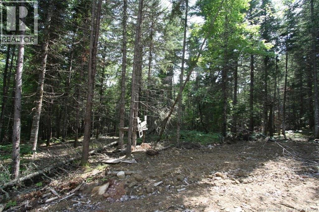 916 Storeytown Road, Doaktown, New Brunswick  E9C 1Z3 - Photo 10 - NB133149