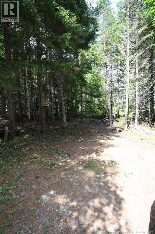 916 Storeytown Road, Doaktown, New Brunswick  E9C 1Z3 - Photo 8 - NB133149