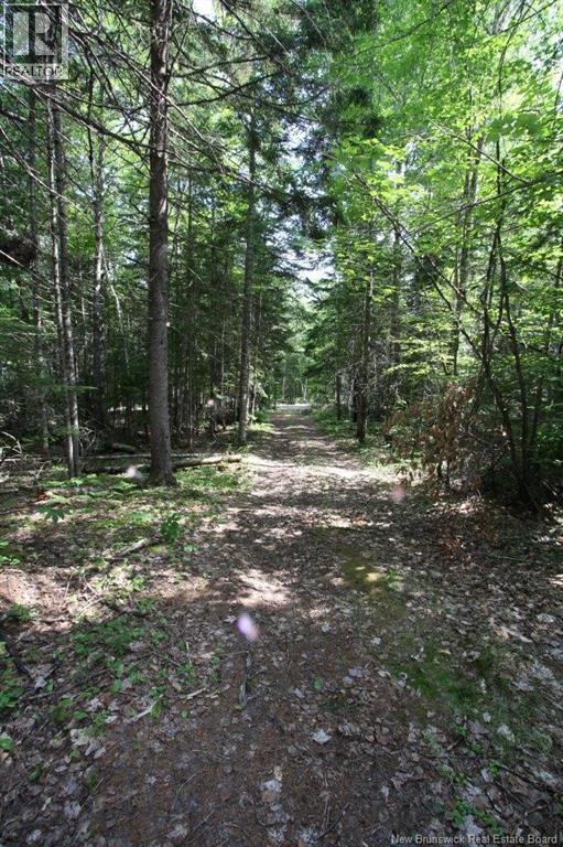 916 Storeytown Road, Doaktown, New Brunswick  E9C 1Z3 - Photo 9 - NB133149