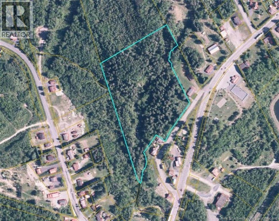 Lot Du Moulin Street, Edmundston, New Brunswick  E3V 4M8 - Photo 1 - NB133029