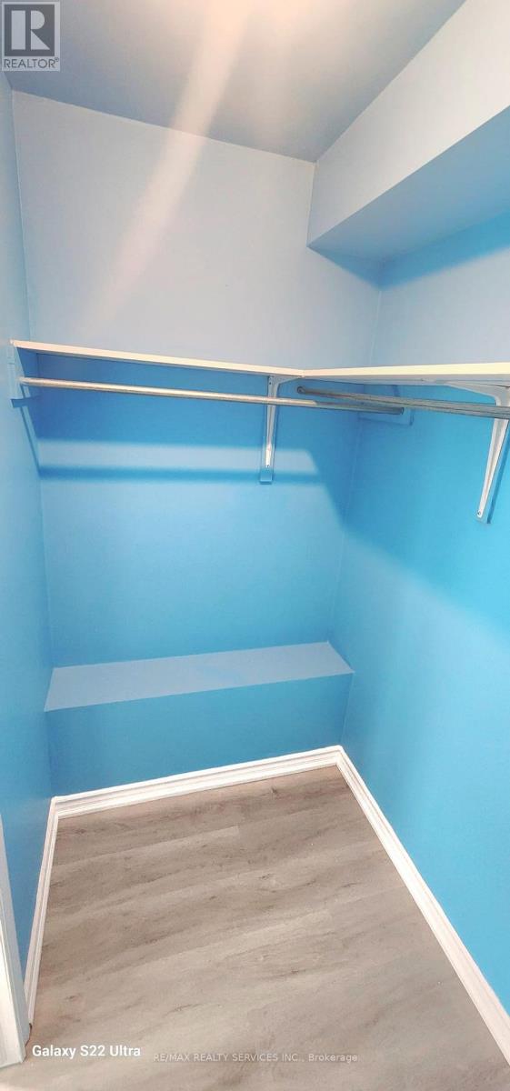 Basement - 41 Charger Lane, Brampton (Fletcher's Meadow), Ontario  L7A 3C1 - Photo 3 - W12754582