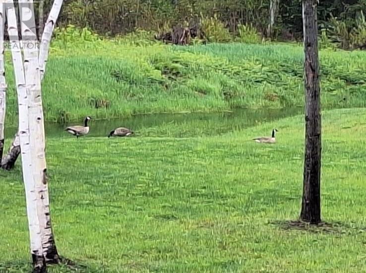 374 Seguin, Chelmsford, Ontario  P0M 1L0 - Photo 34 - 2126311