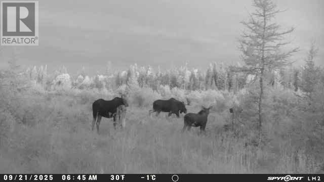 374 Seguin, Chelmsford, Ontario  P0M 1L0 - Photo 37 - 2126311