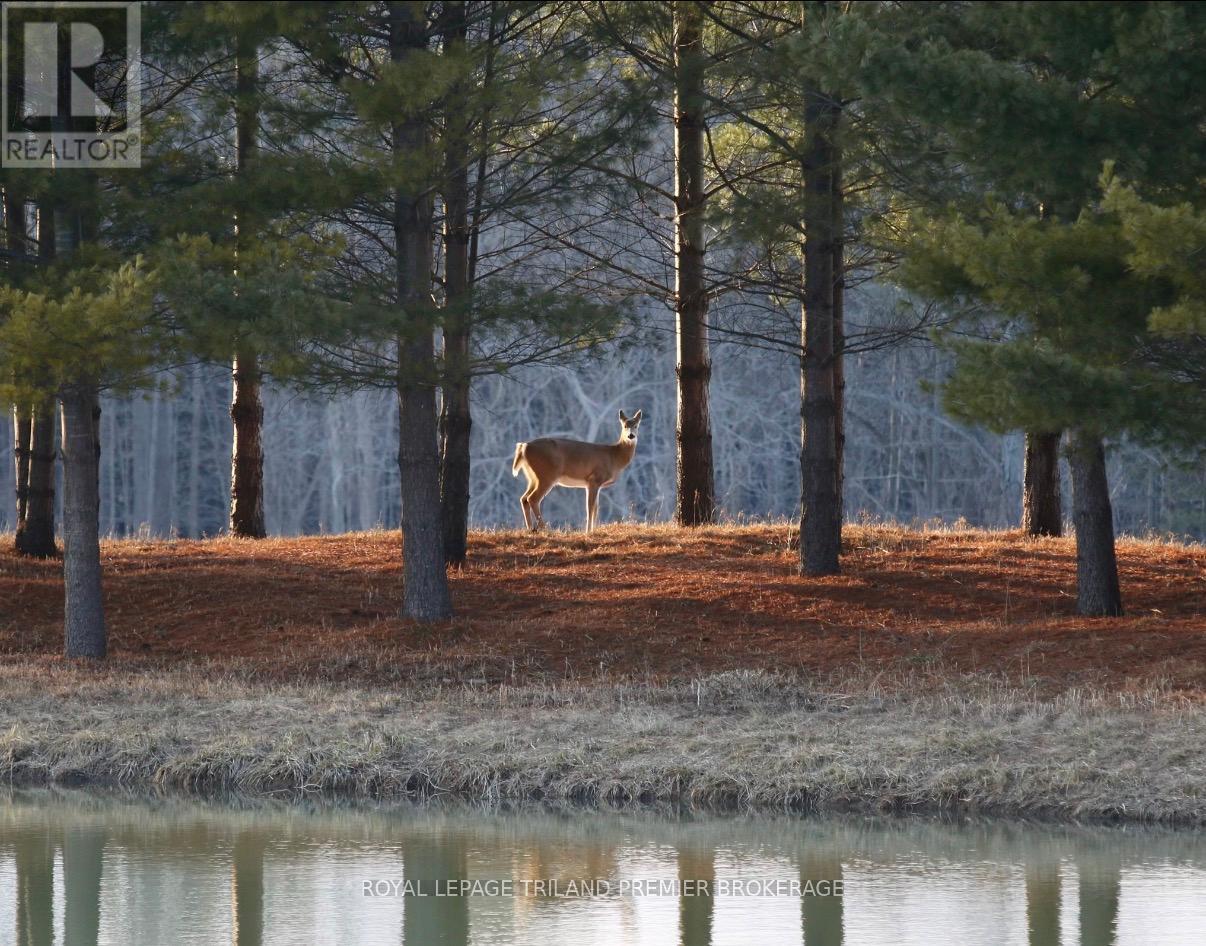 1303 Sandy Somerville Drive, London South, Ontario  N6K 5R4 - Photo 30 - X12757018