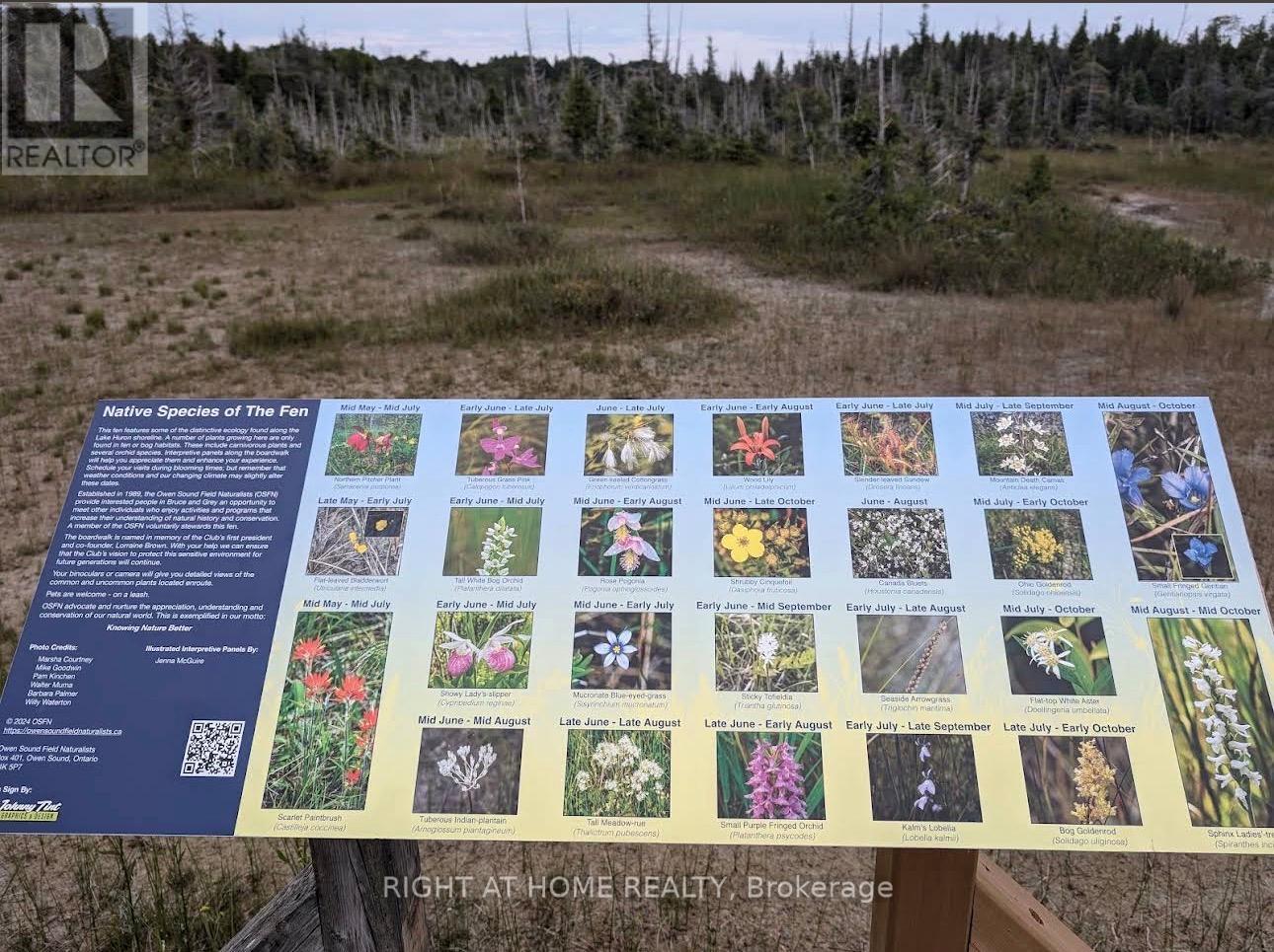 3 Oriole Avenue, South Bruce Peninsula, Ontario  N0H 2T0 - Photo 15 - X12742132