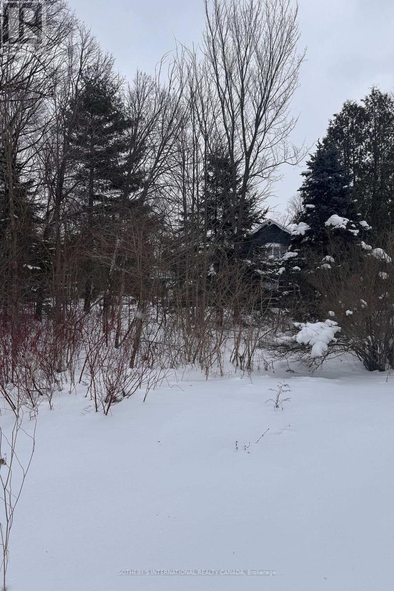 39 Pine River Crescent, Mulmur, Ontario  L0N 1M0 - Photo 3 - X12754926