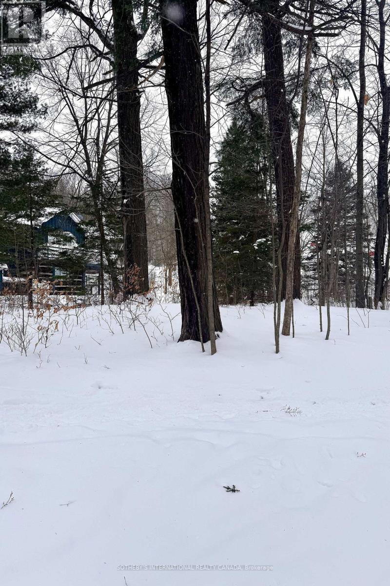 39 Pine River Crescent, Mulmur, Ontario  L0N 1M0 - Photo 4 - X12754926