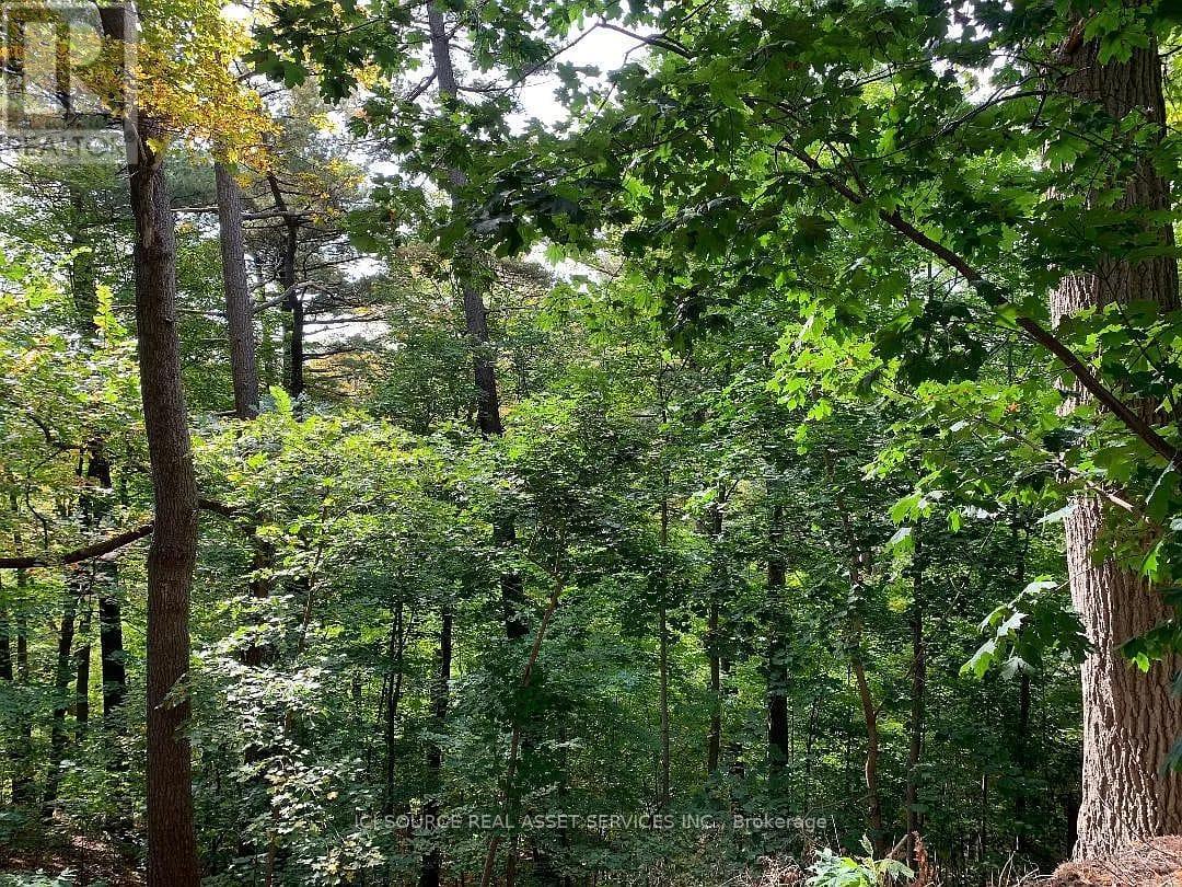 34 Gwendolen Crescent, Toronto (Lansing-Westgate), Ontario  M2N 2L7 - Photo 38 - C12602138