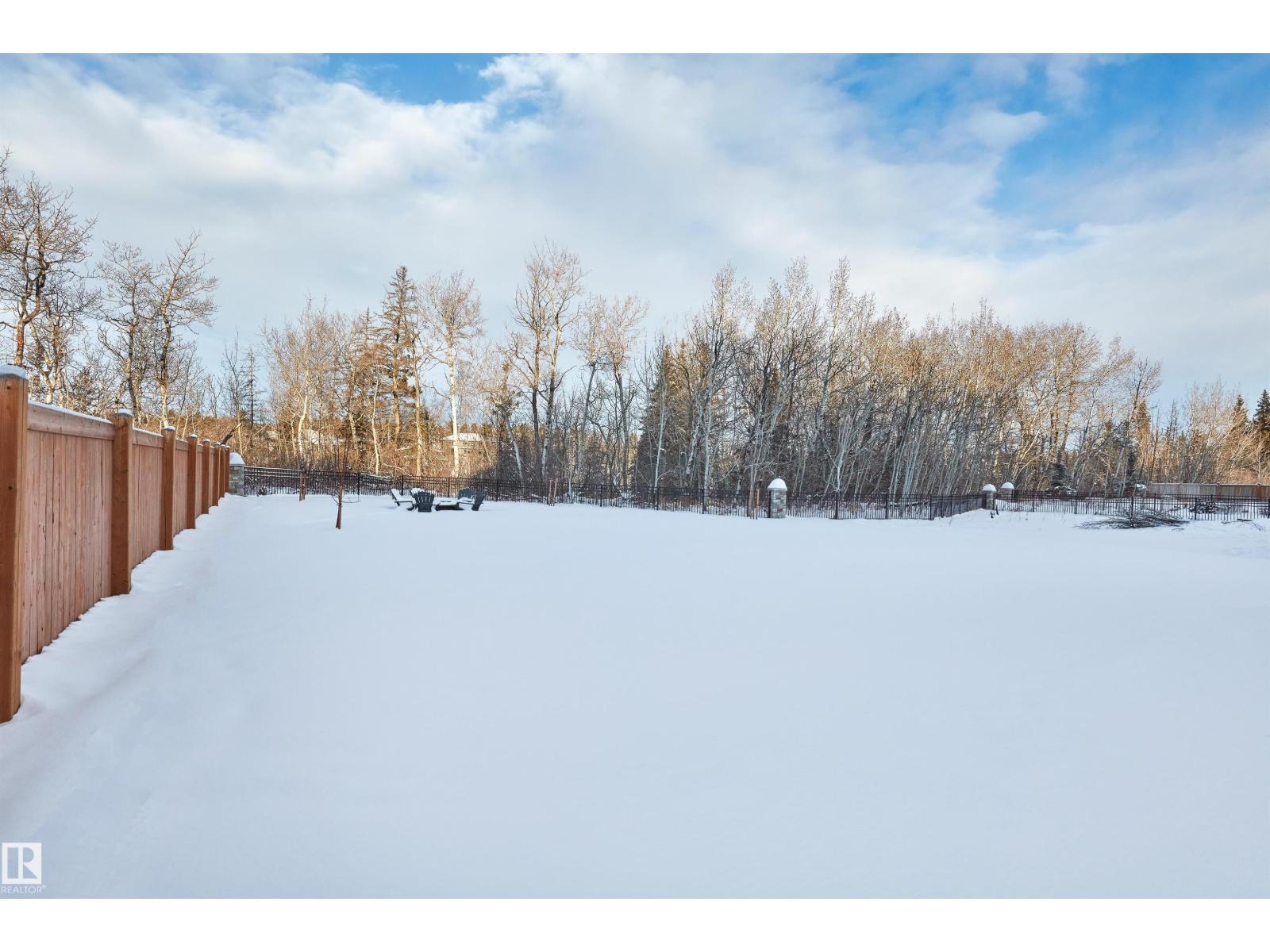 4183 Cameron Heights Pt Nw, Edmonton, Alberta  T6M 0S5 - Photo 53 - E4470480