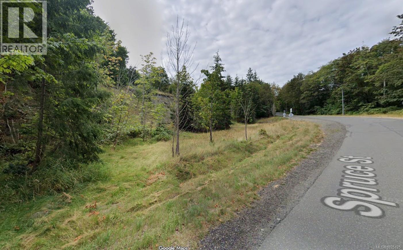 Lot 15 Spruce St, Campbell River, British Columbia  V9W 4E8 - Photo 3 - 1025125