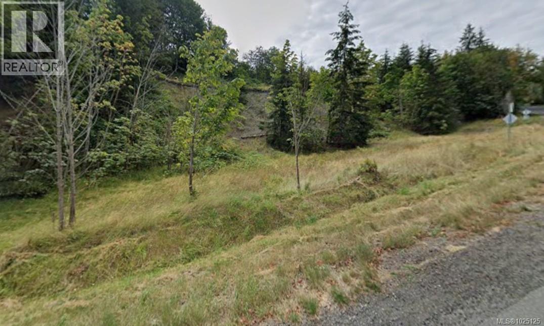 Lot 15 Spruce St, Campbell River, British Columbia  V9W 4E8 - Photo 4 - 1025125