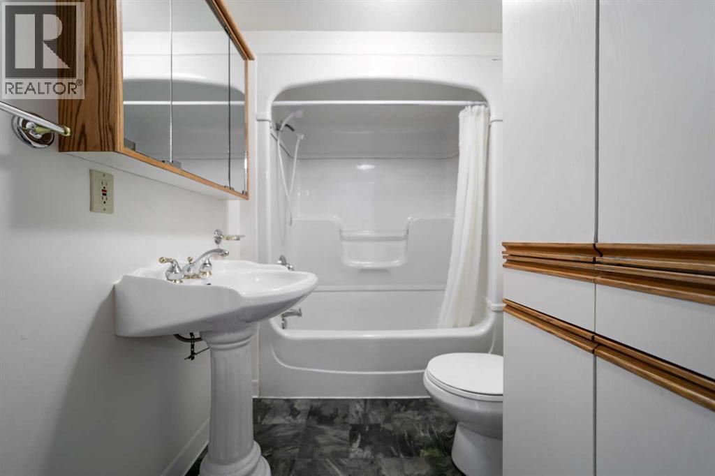 5002 49 Street, Sedgewick, Alberta  T0B 4C0 - Photo 15 - A2281718