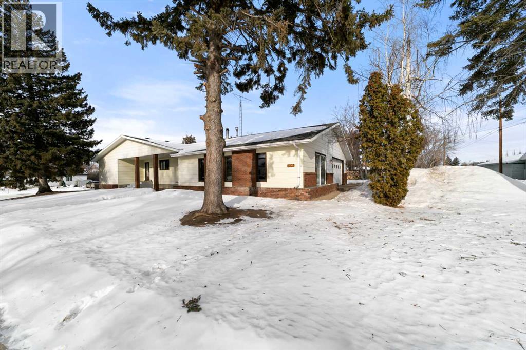 5002 49 Street, Sedgewick, Alberta  T0B 4C0 - Photo 3 - A2281718